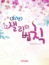 샐리의 법칙 (외전)