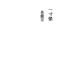 한 치의 불가사의