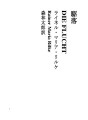 사랑의 도피