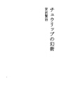 튤립의 환술