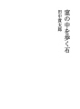 실내를 걷는 돌
