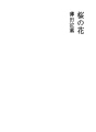 벚꽃