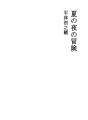 여름 밤의 모험